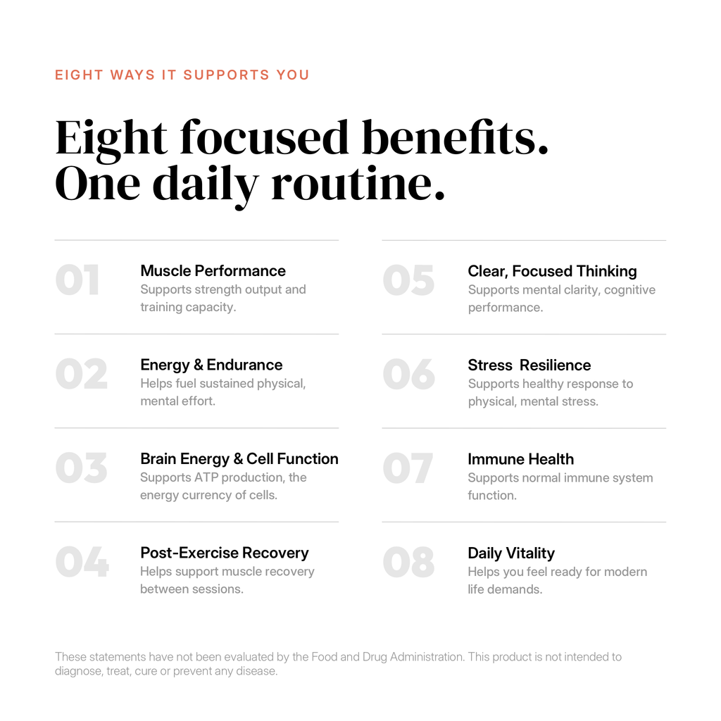 Favr Body + Brain daily benefits overview